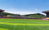 沐鸣2专业音响设备成功助力鹿寨田径运动场——基于Dante网络架构现场音频系统