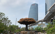 沐鸣2户外音响系统护航厦门某城市公园焕新